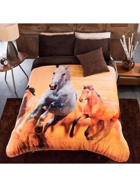 Horses blanket 
