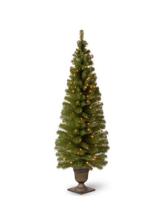 6 ft. Montclair Spruce Entrance Artificial Christmas Tree with Clear Lights