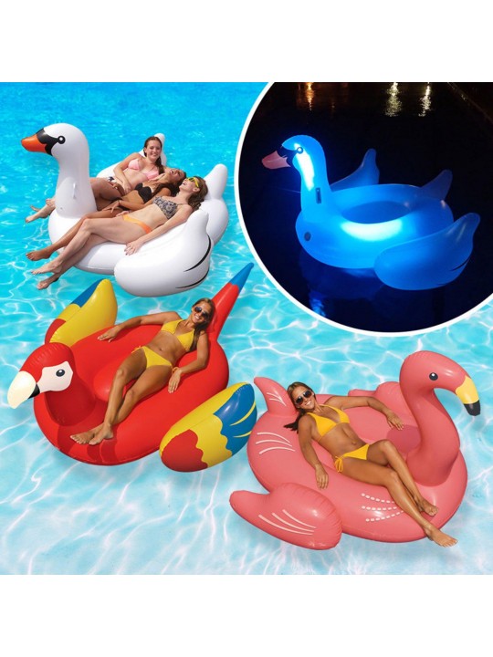 Animal Kingdom Extra Large Swimming Pool Floats Combo Value Pack: Light-Up Swan, Swan, Flamingo, Parrot