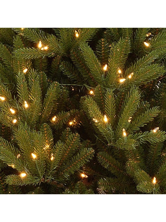 5 ft. Topeka Spruce Entrance Tree with Clear Lights