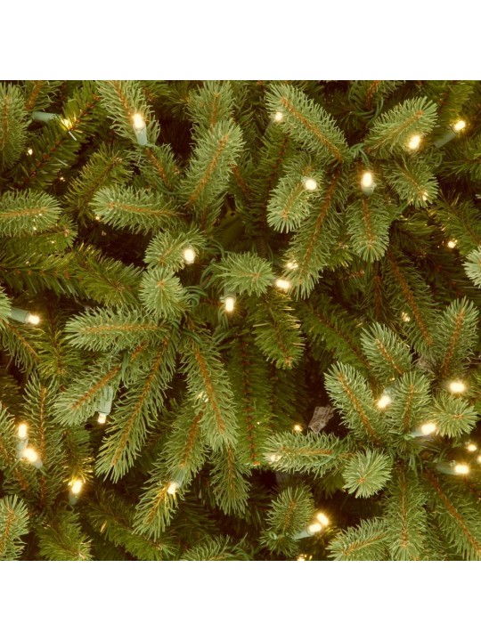 6.5 ft. Jersey Fraser Fir Pencil Slim Tree with Clear Lights