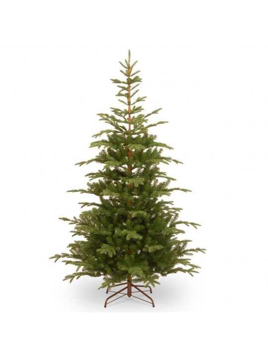 7.5 ft. Norwegian Spruce Tree with Clear Lights