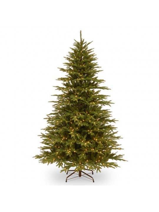 7.7 ft. Monterey Fir Tree with Clear Lights